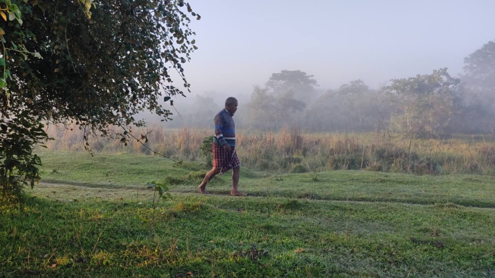 Ecosystem Development