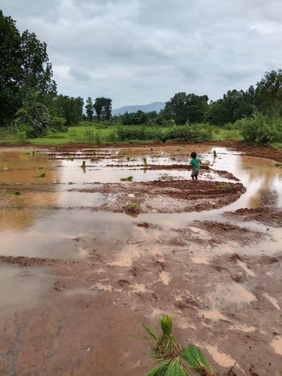 Farming for Life, Not Just Yield