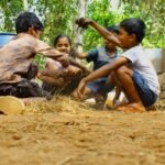 Soil Nutrition Lessons