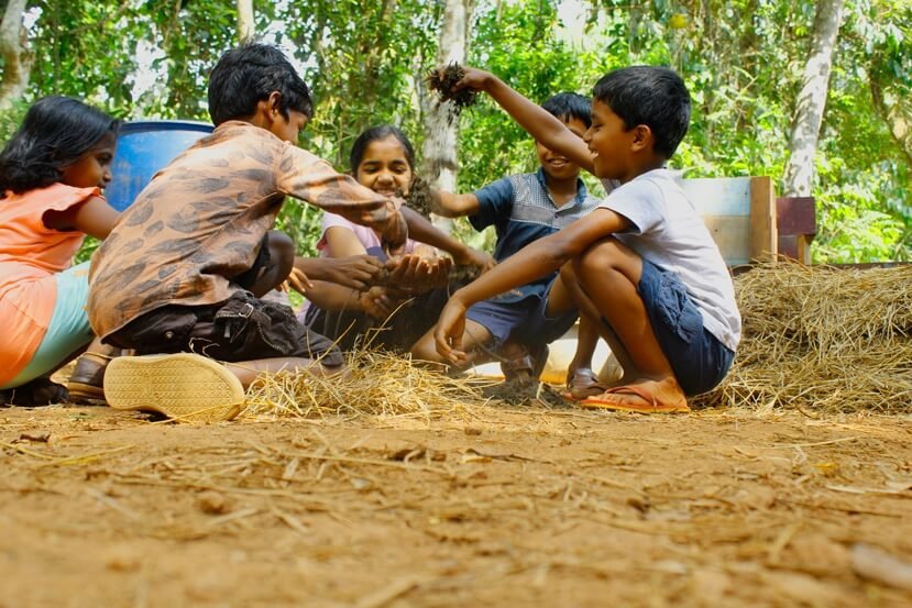 Soil Nutrition Lessons