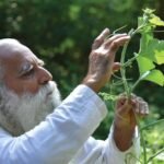 Understanding Natueco method