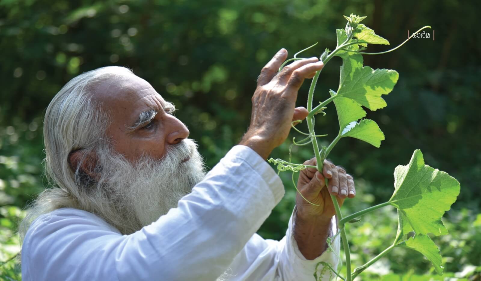 Understanding Natueco method