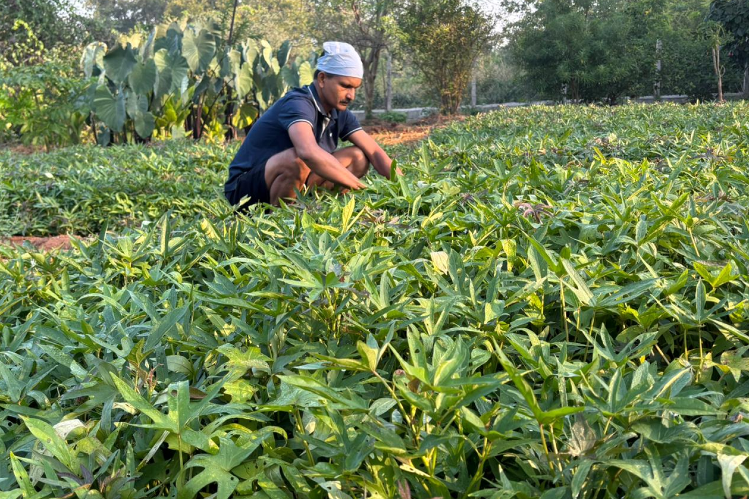 j_k_centre_hyderabad_telangana_1