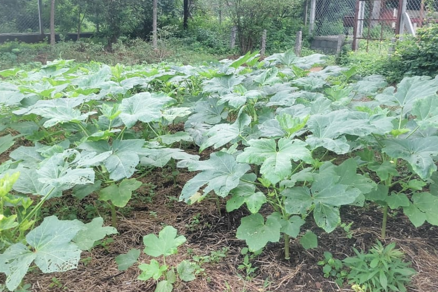 j_k_centre_hyderabad_telangana_2