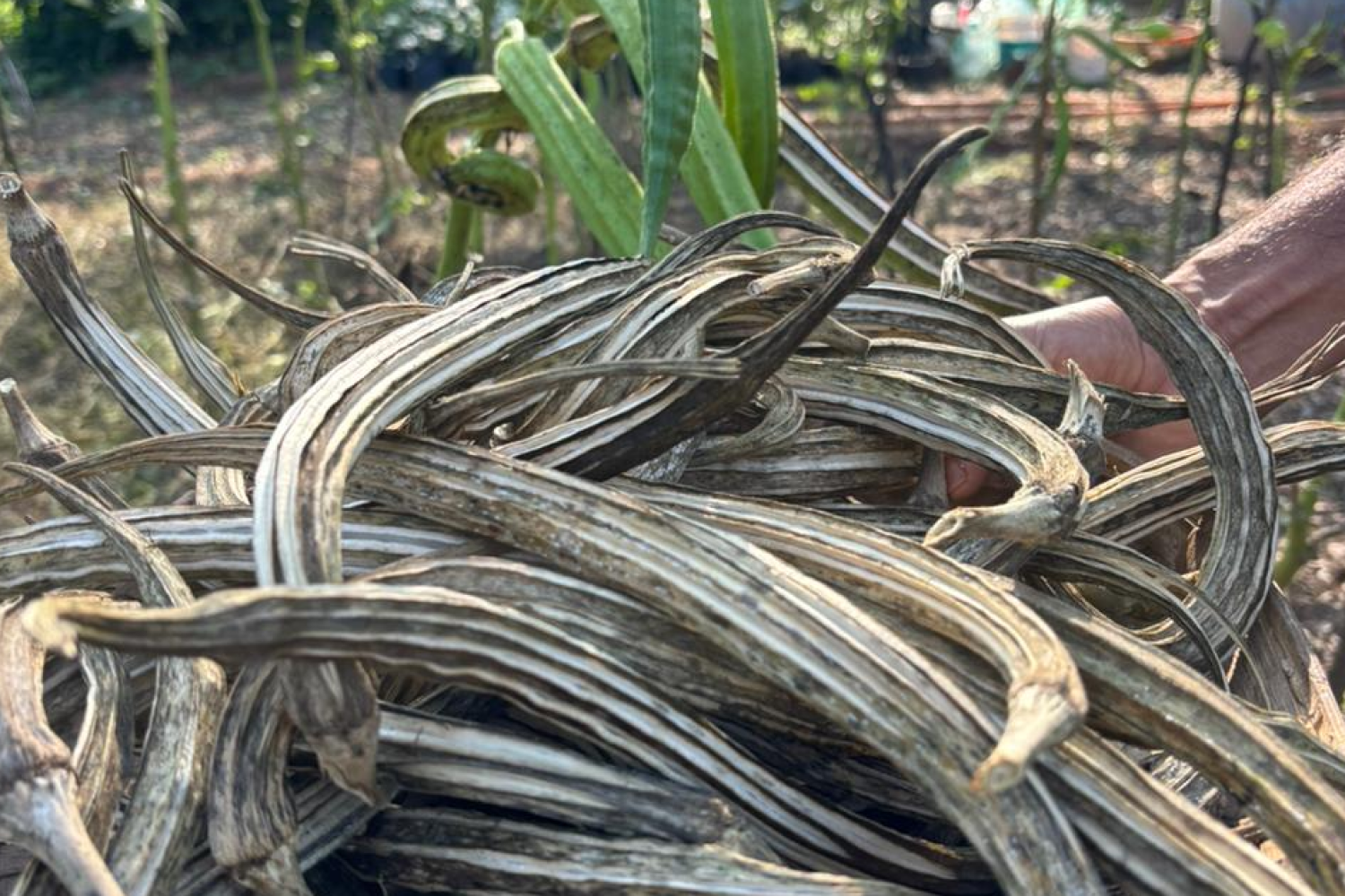 j_k_centre_hyderabad_telangana_3