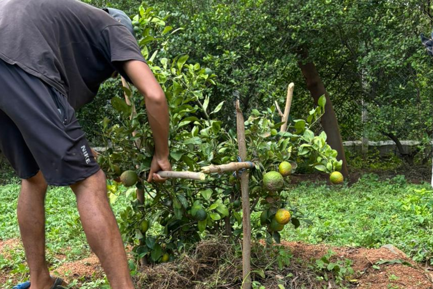 j_k_centre_hyderabad_telangana_5