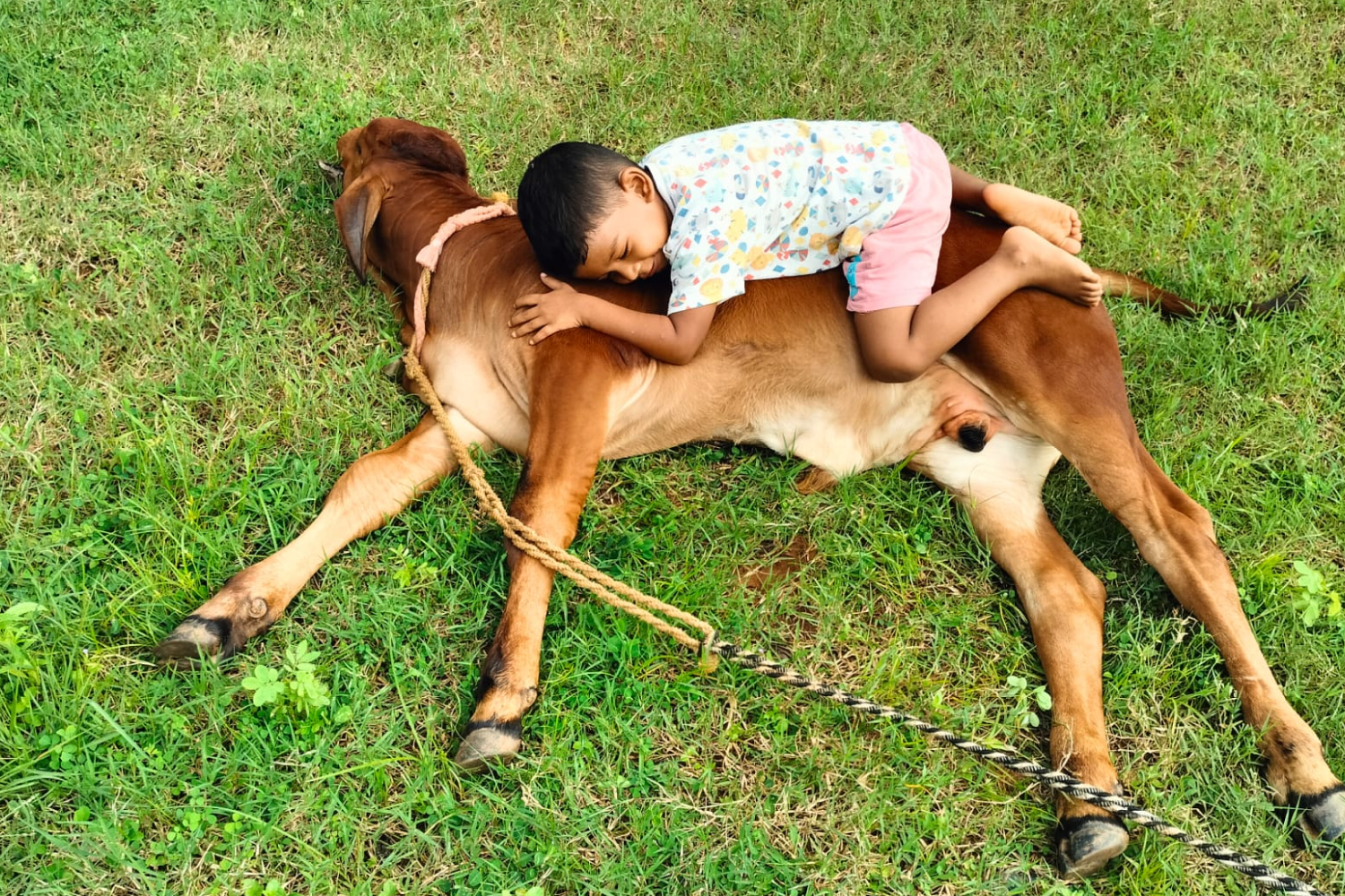 saranya_angul_odisha_2