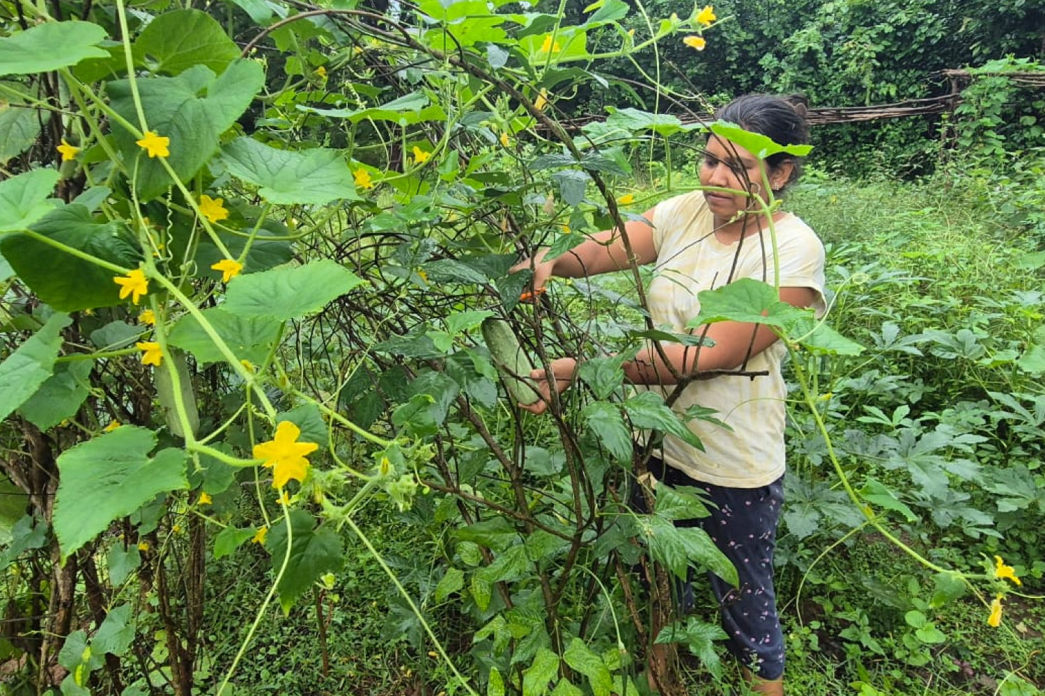 saranya_angul_odisha_6