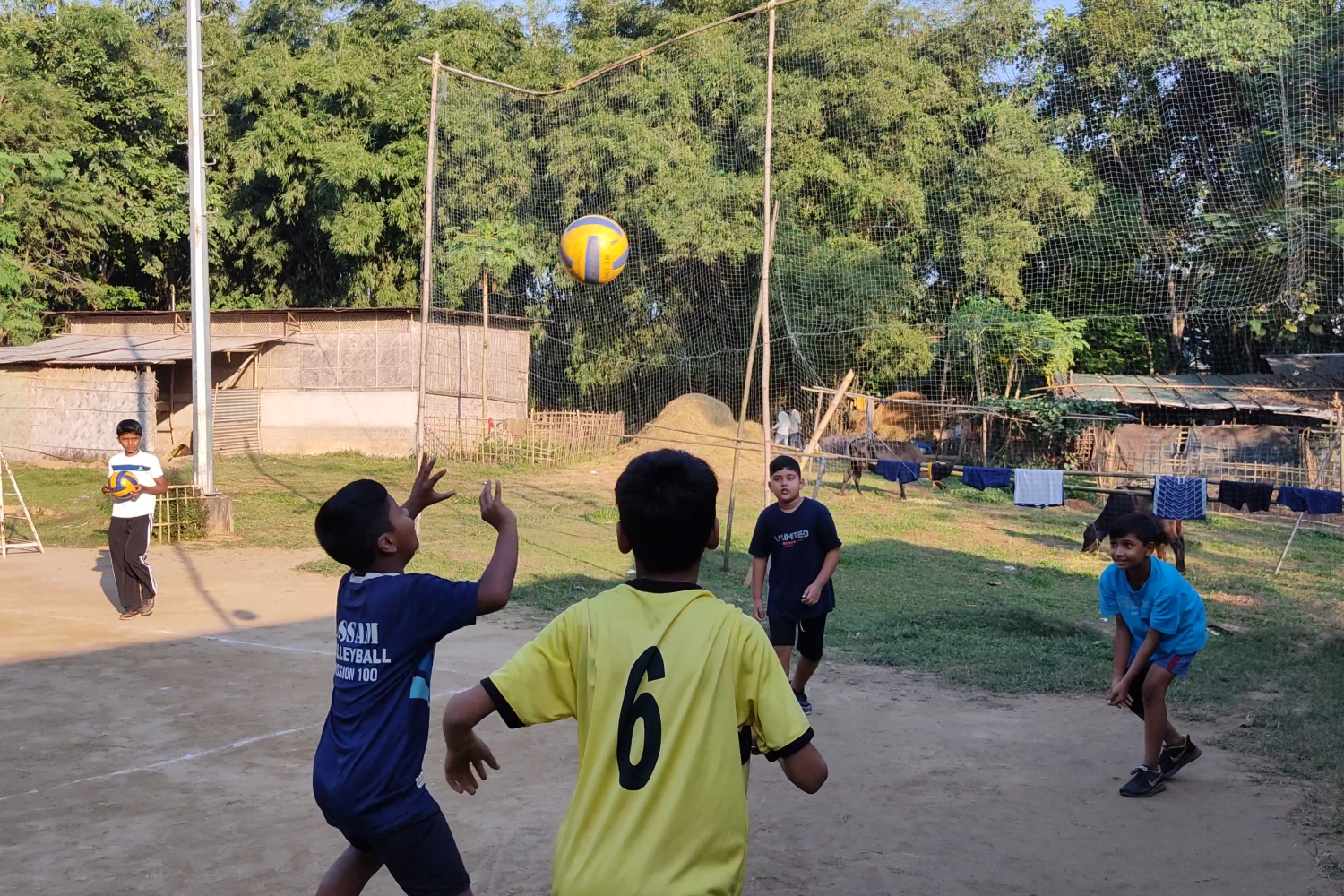 Sports & Counselling